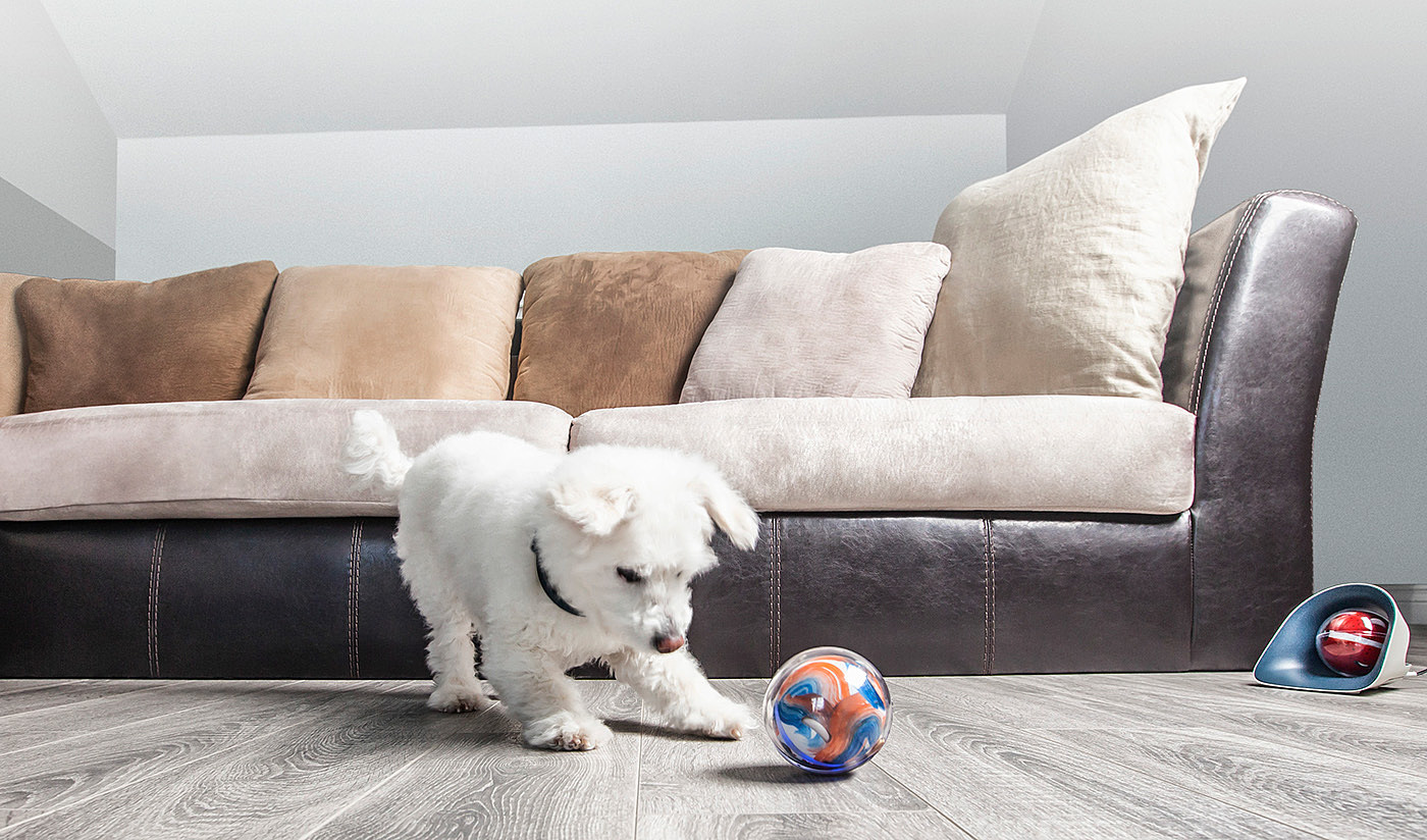 intelligent control，Wireless charging，Nursing Robot，Pet producer camera，Pet Supplies & Pet，