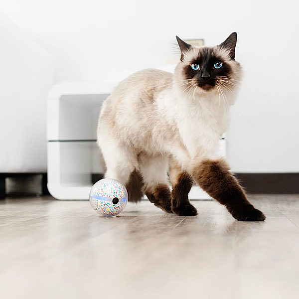 intelligent control，Wireless charging，Nursing Robot，Pet producer camera，Pet Supplies & Pet，