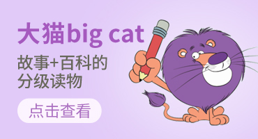 E-commerce brand and pit placement，