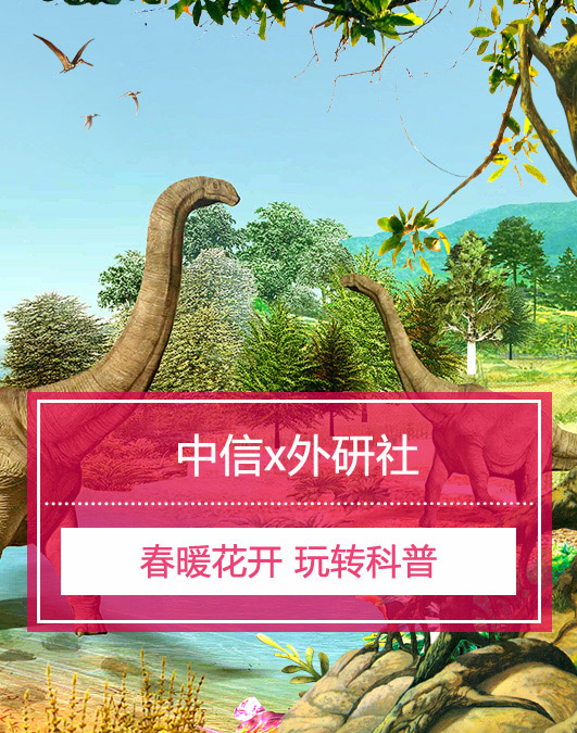 E-commerce brand and pit placement，