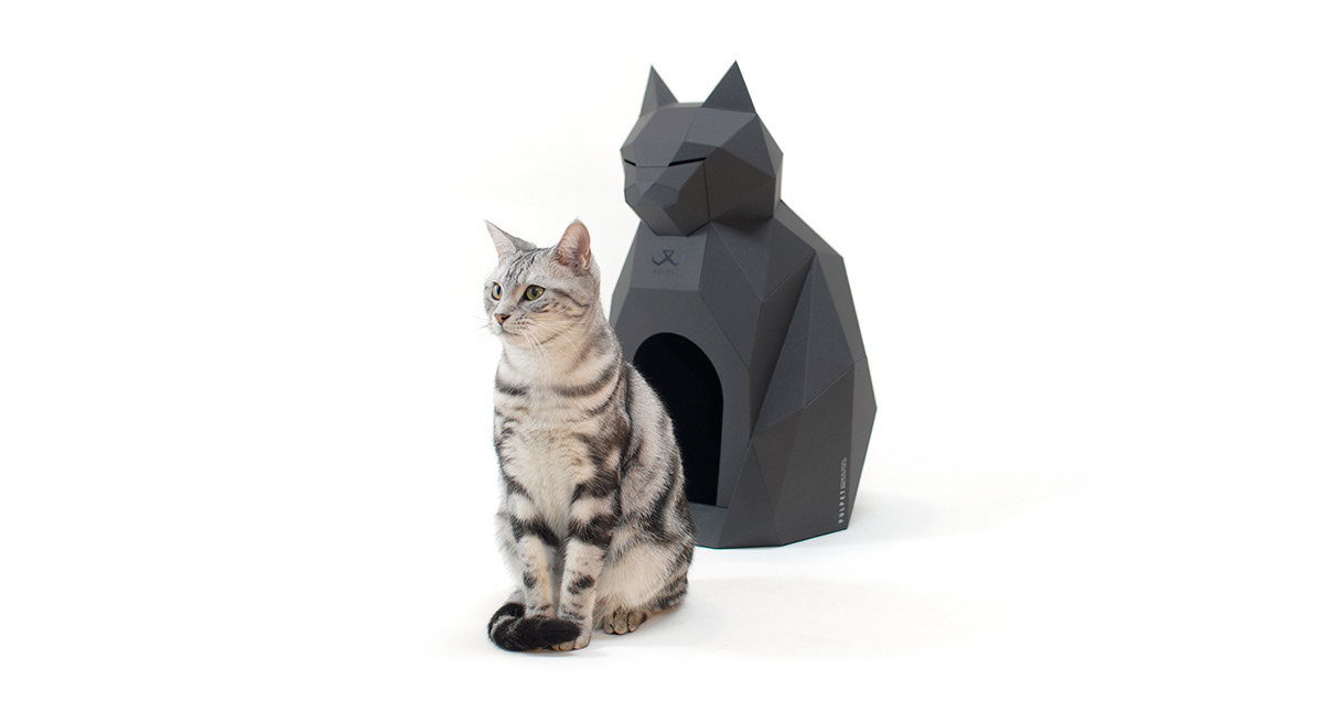 cat，paper，Paper house，Cat house，