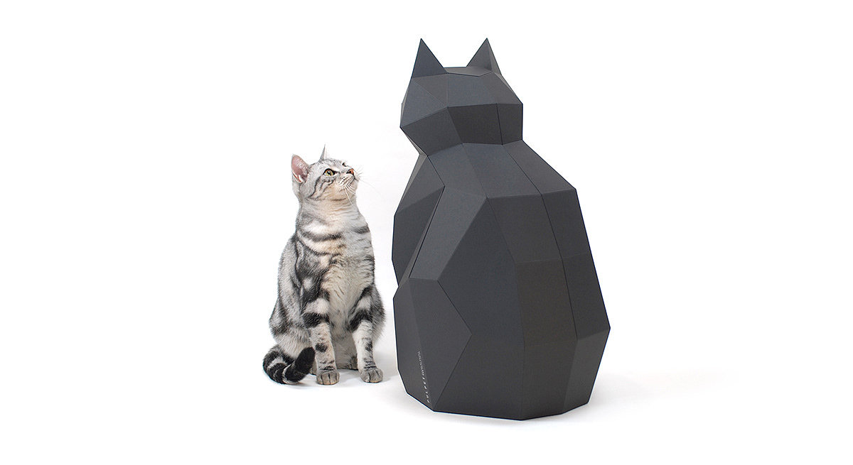 cat，paper，Paper house，Cat house，