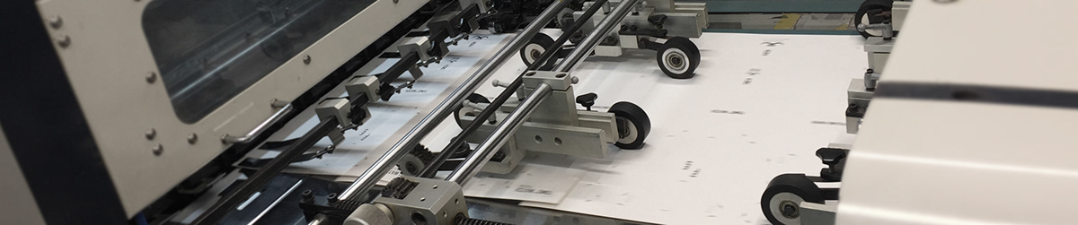 cat，paper，Paper house，Cat house，