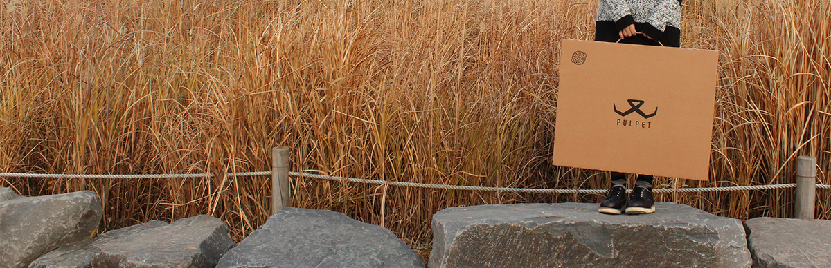 cat，paper，Paper house，Cat house，