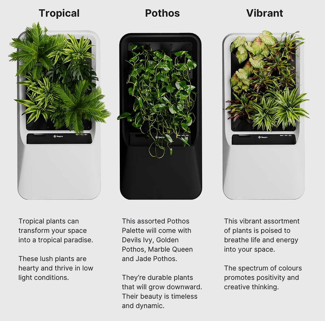 air cleaner，Botany，green，natural，