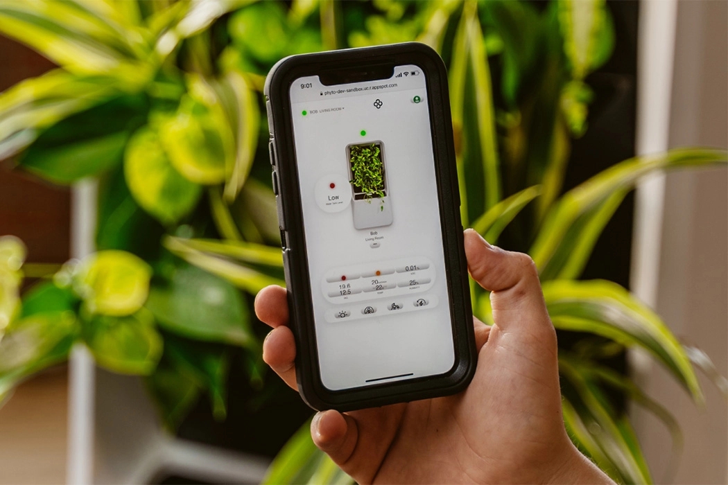 air cleaner，Botany，green，natural，