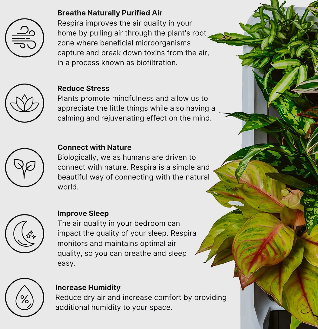 air cleaner，Botany，green，natural，