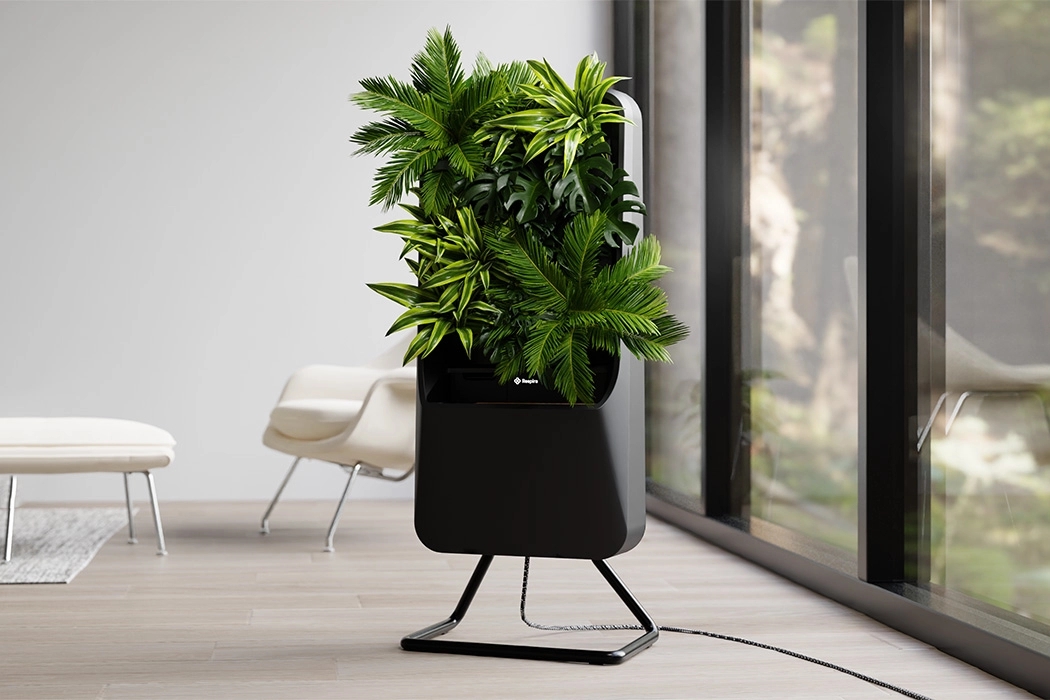 air cleaner，Botany，green，natural，