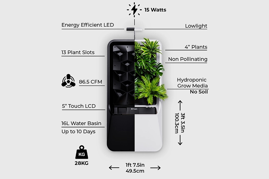 air cleaner，Botany，green，natural，