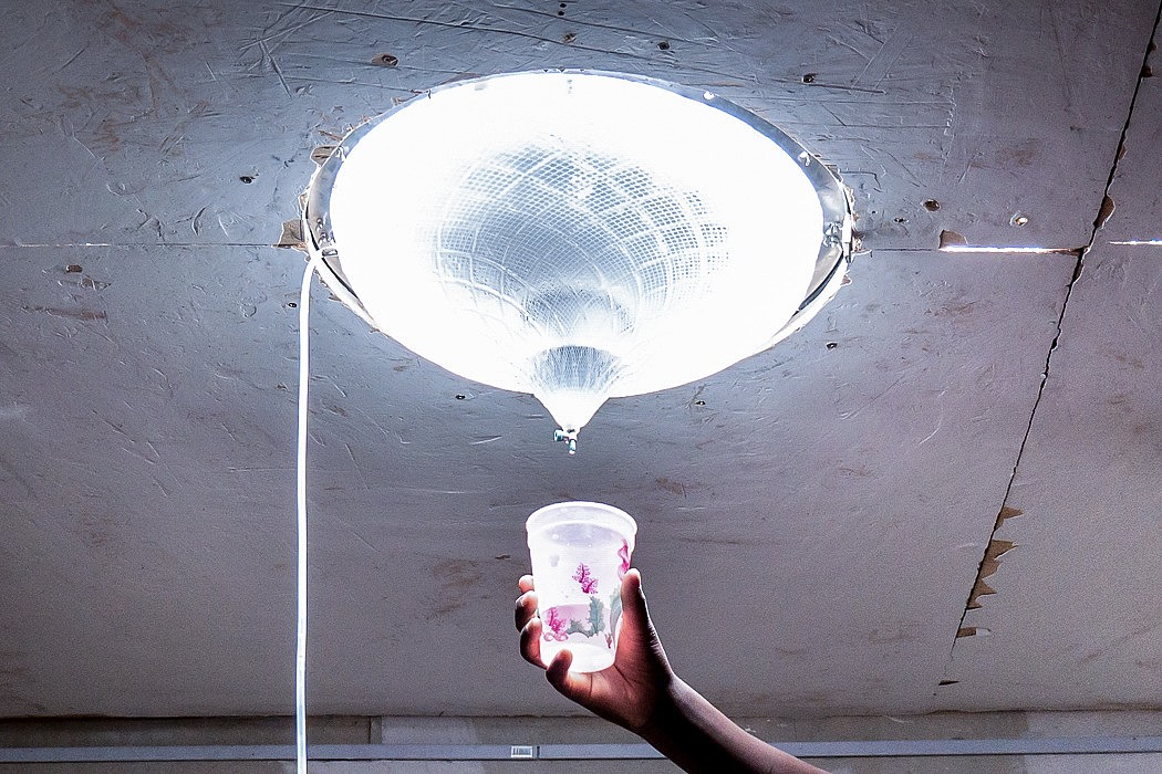 skylight，sunshine，drinking water，Purification of water，