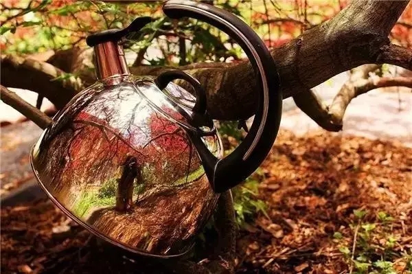 Photography，outdoors，travel，photograph，Creative photography，