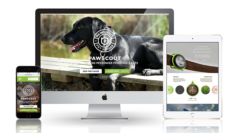 Pets，lose，location，Digital，