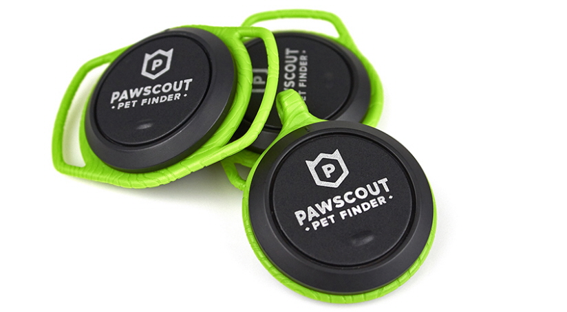 Pets，lose，location，Digital，