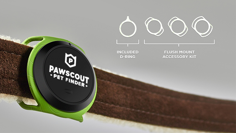 Pets，lose，location，Digital，