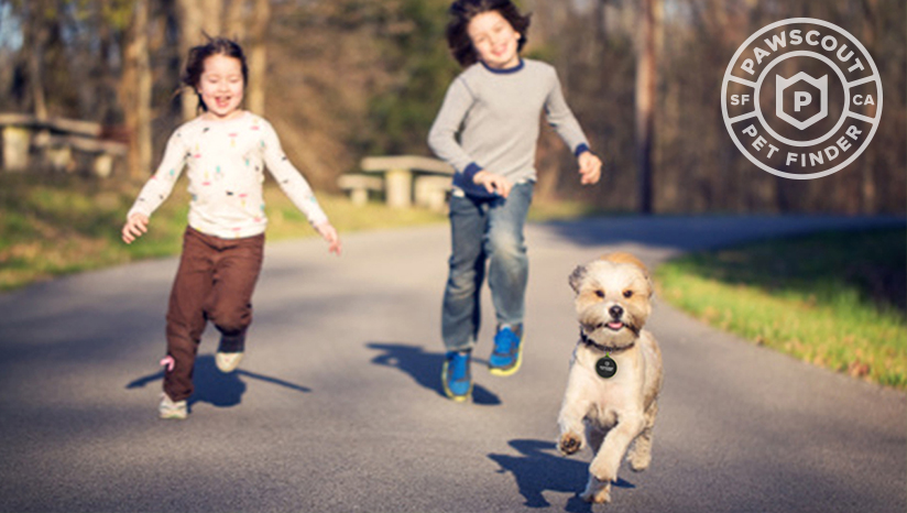 Pets，lose，location，Digital，