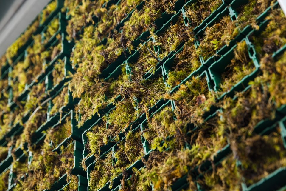 environment protection，clean the situation，tree，science and technology，