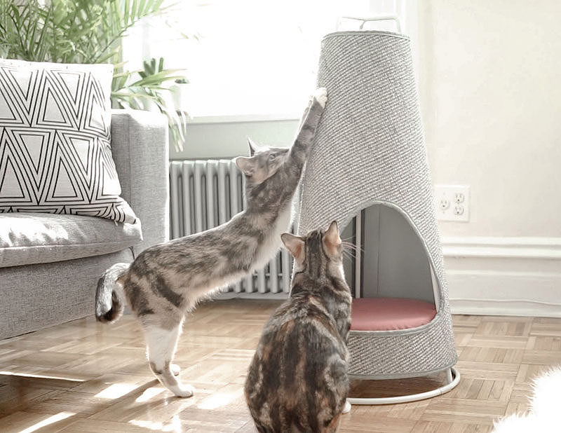 Meow star man，Cat nest，Grinding claw plate，Pets，