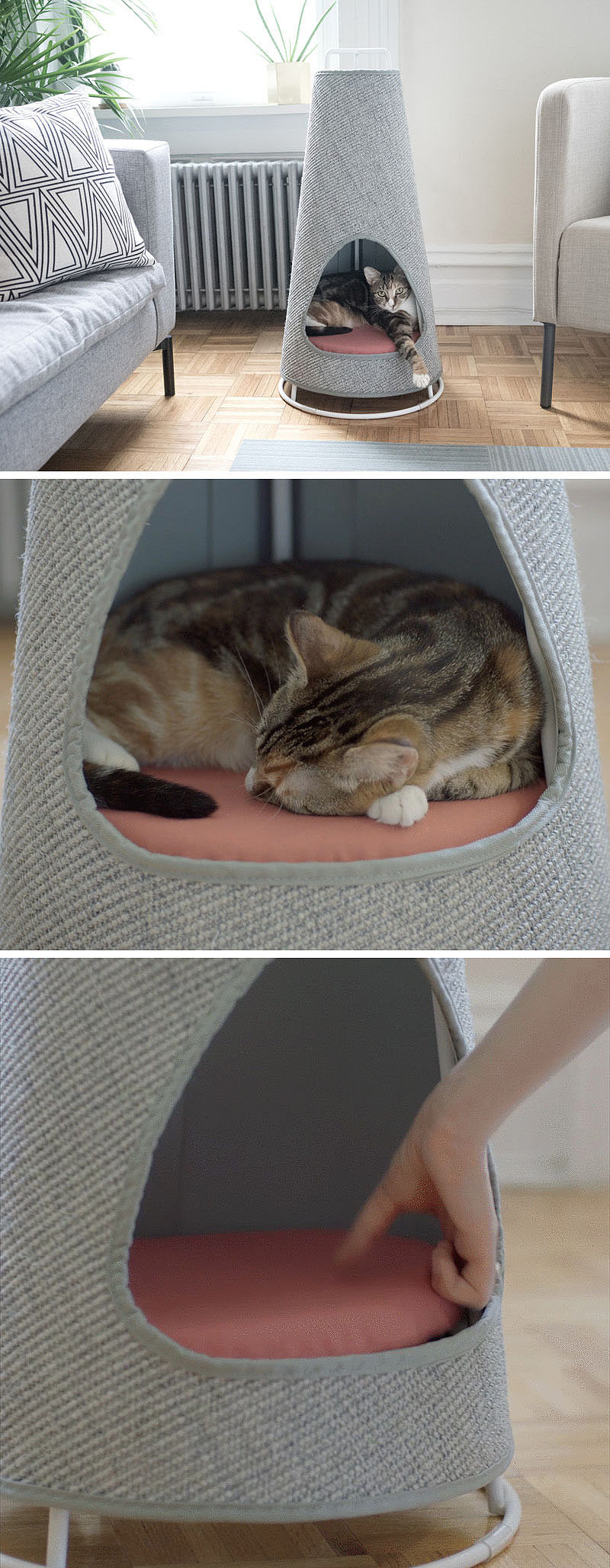 Meow star man，Cat nest，Grinding claw plate，Pets，