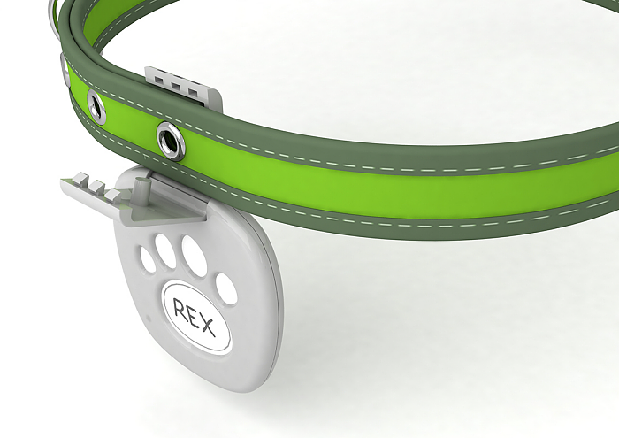 Wearable ，Location tracking，Pet collar，Rex，Green red，