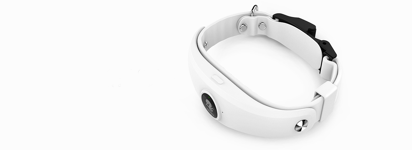 Pet，Smart collar，location，Health monitoring，science and technology，