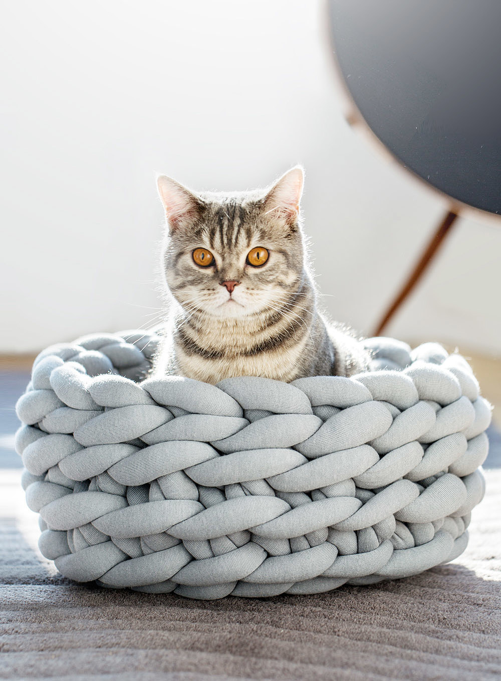 Woven fabric，Pet cushion，Pet nest，Pet Supplies & Pet，