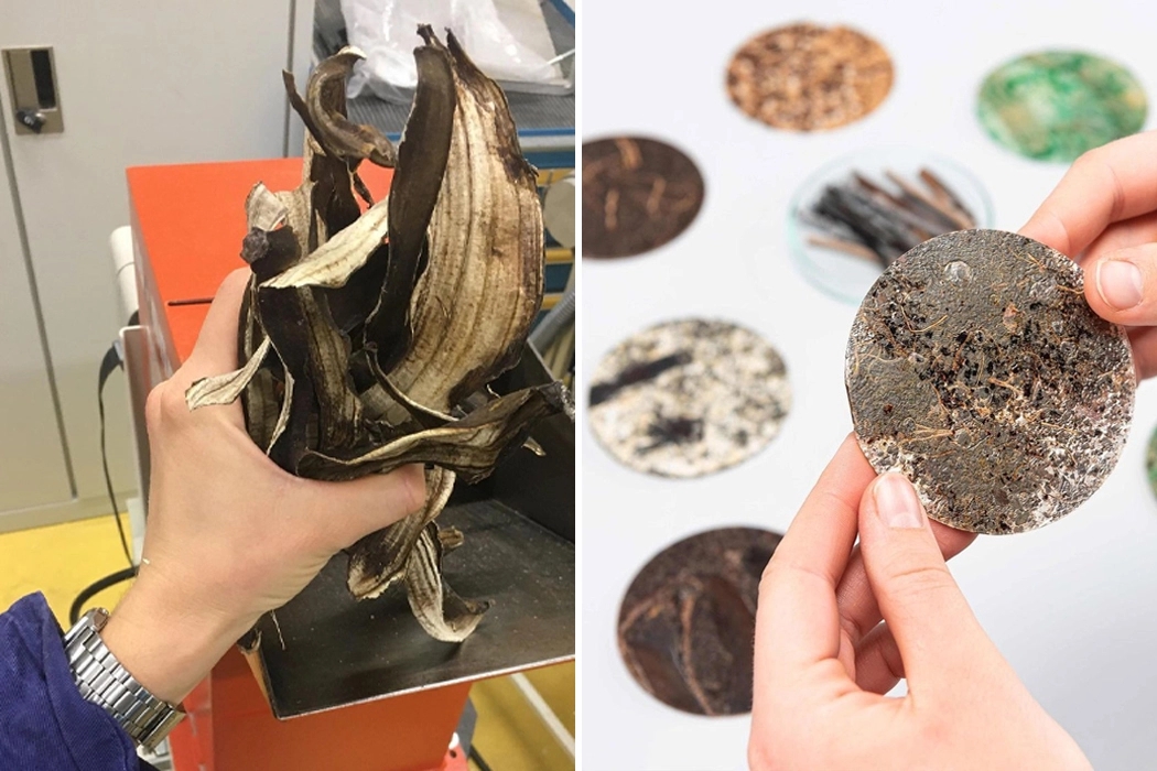 Sarah Harbarth，Banana peel，originality，Degradable material，