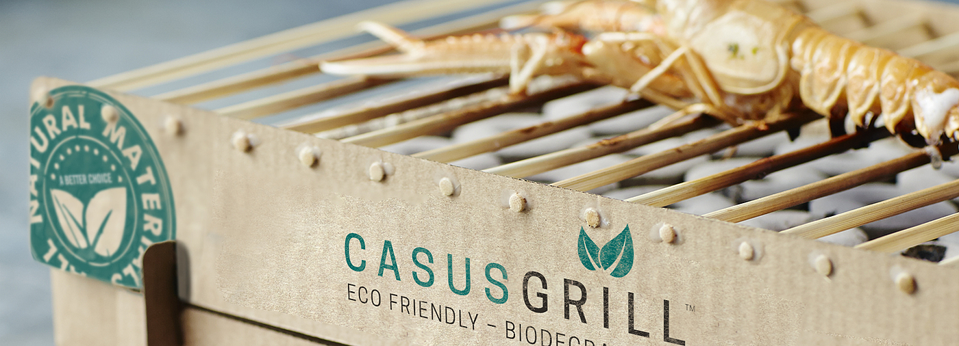 having kebab，disposable，Oven，environment protection，
