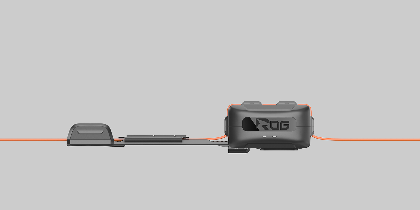 Dog，train，a collar for a horse，