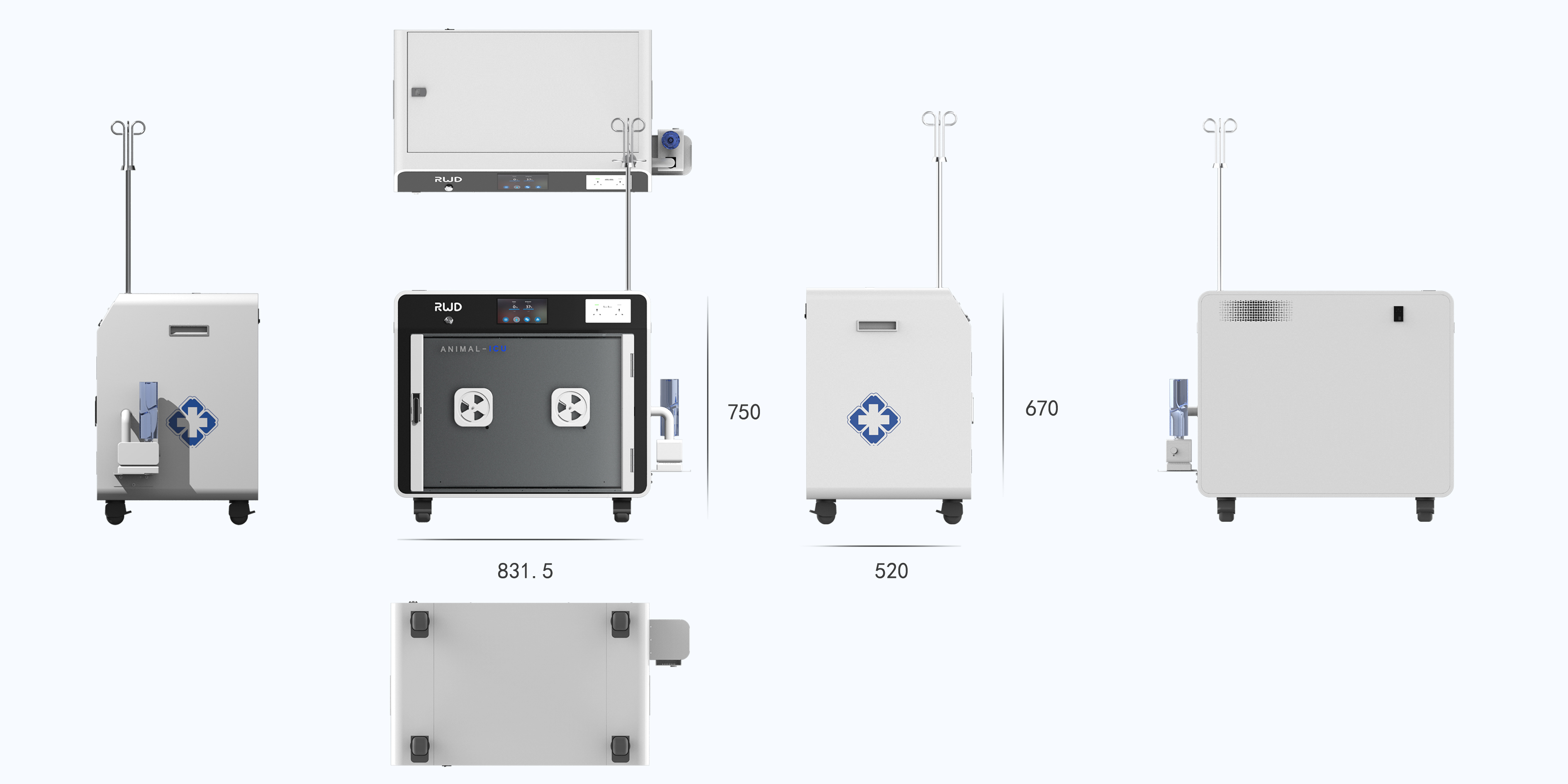 intelligence，animal，custody，