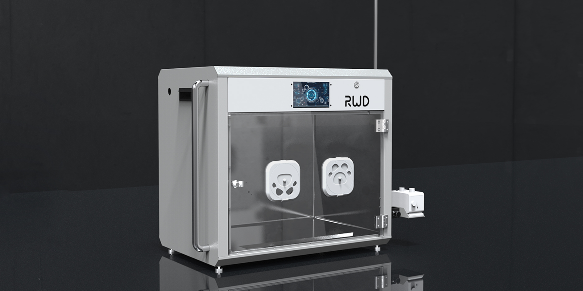 intelligence，animal，custody，