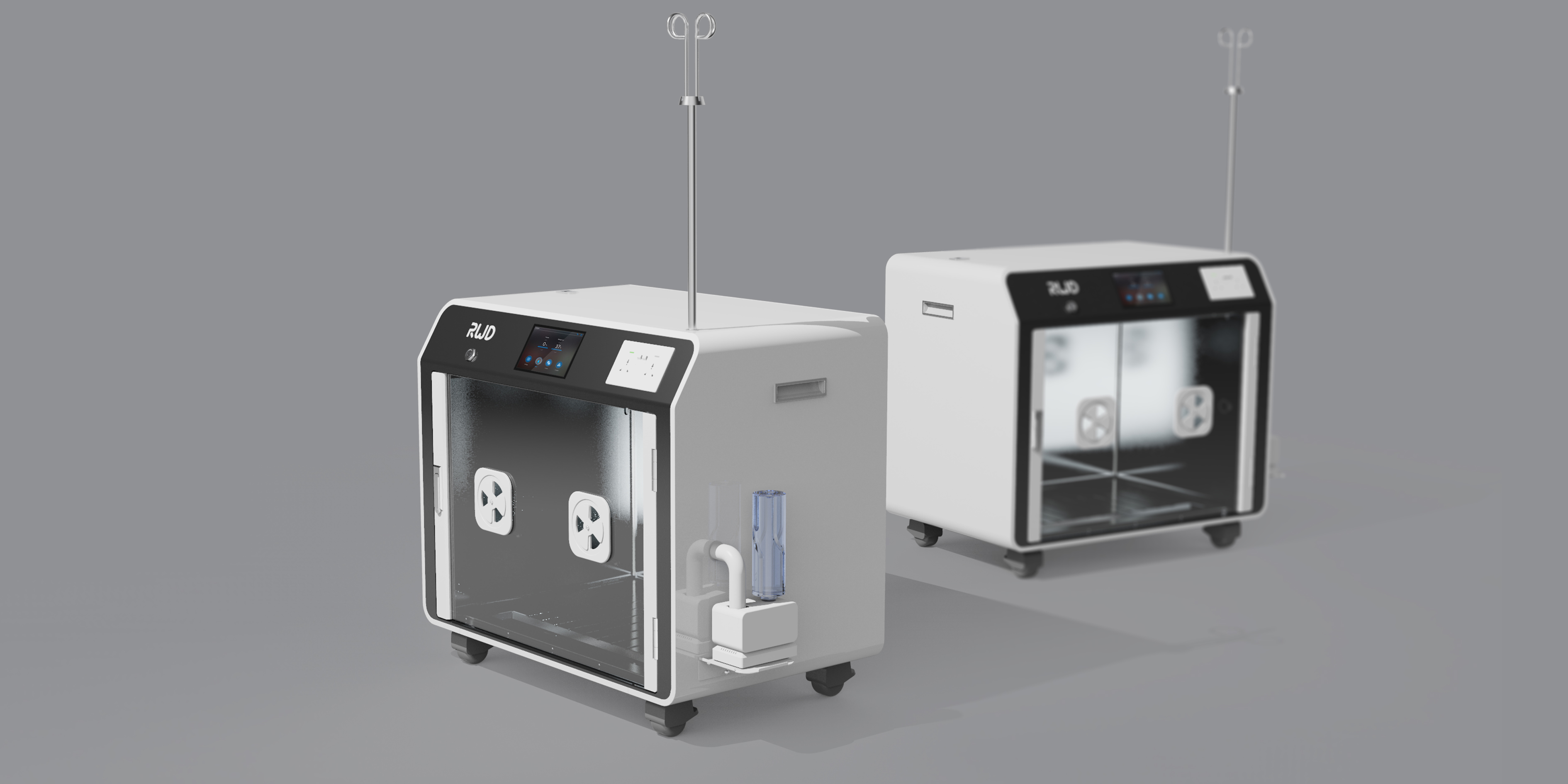 intelligence，animal，custody，