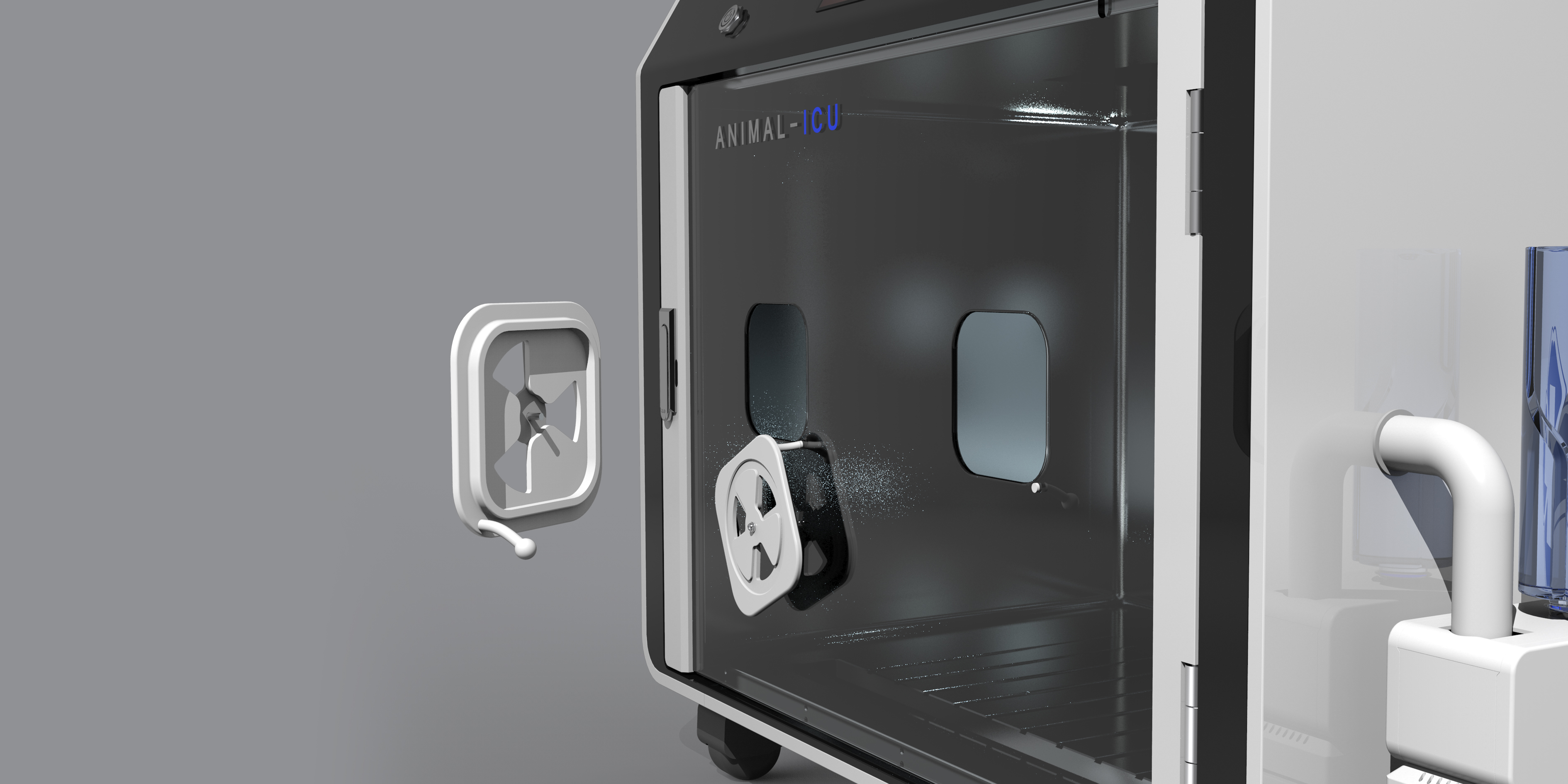 intelligence，animal，custody，