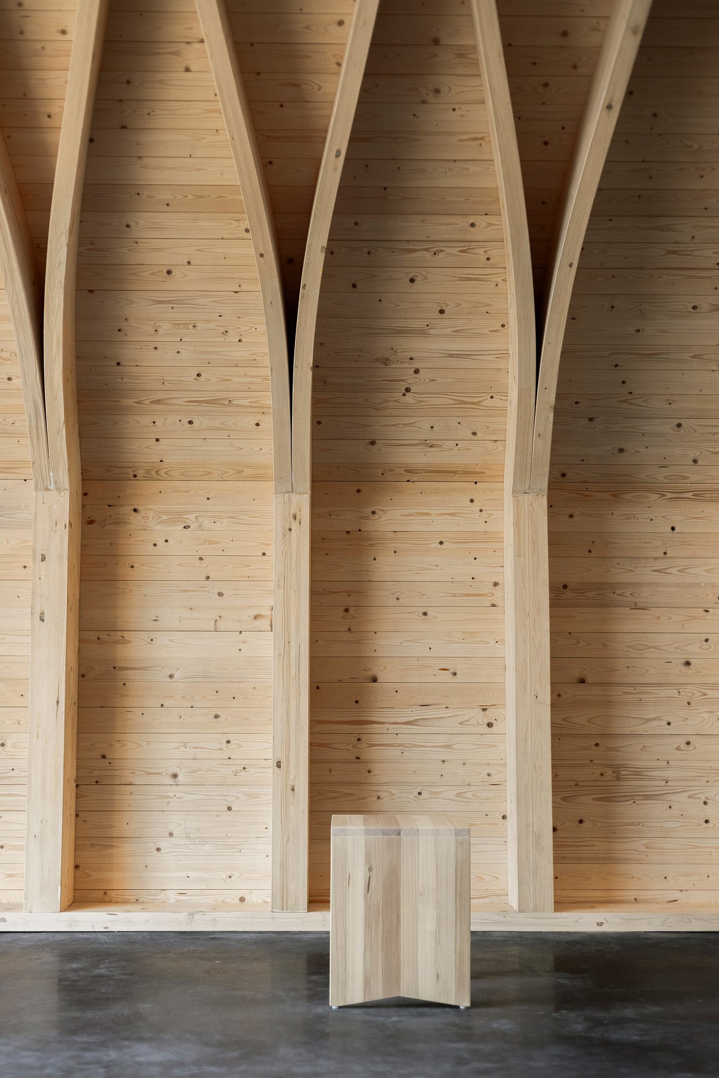 church，wedding，wood，woodland，