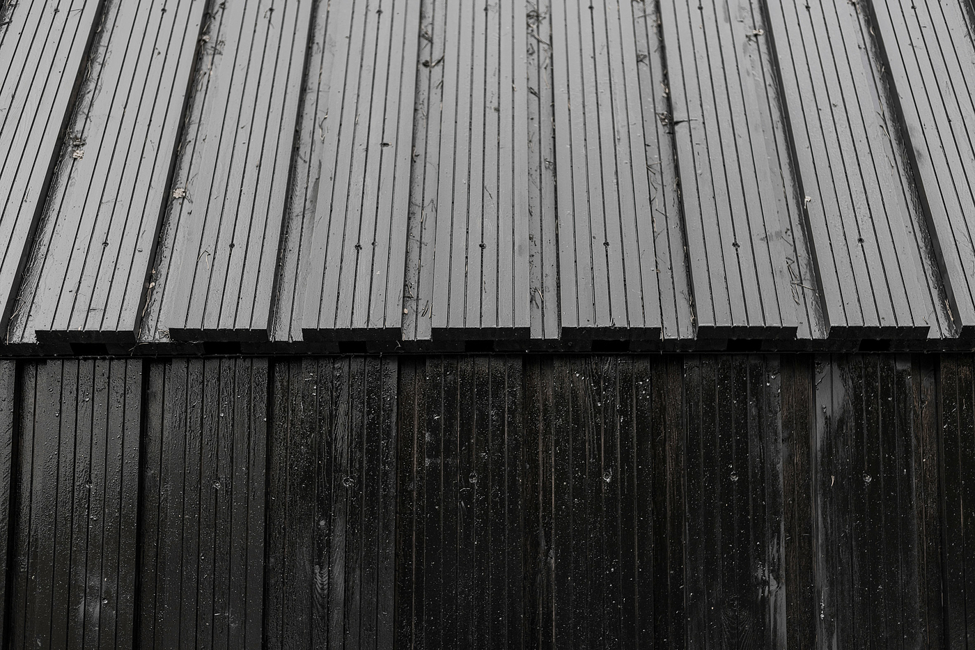 church，wedding，wood，woodland，