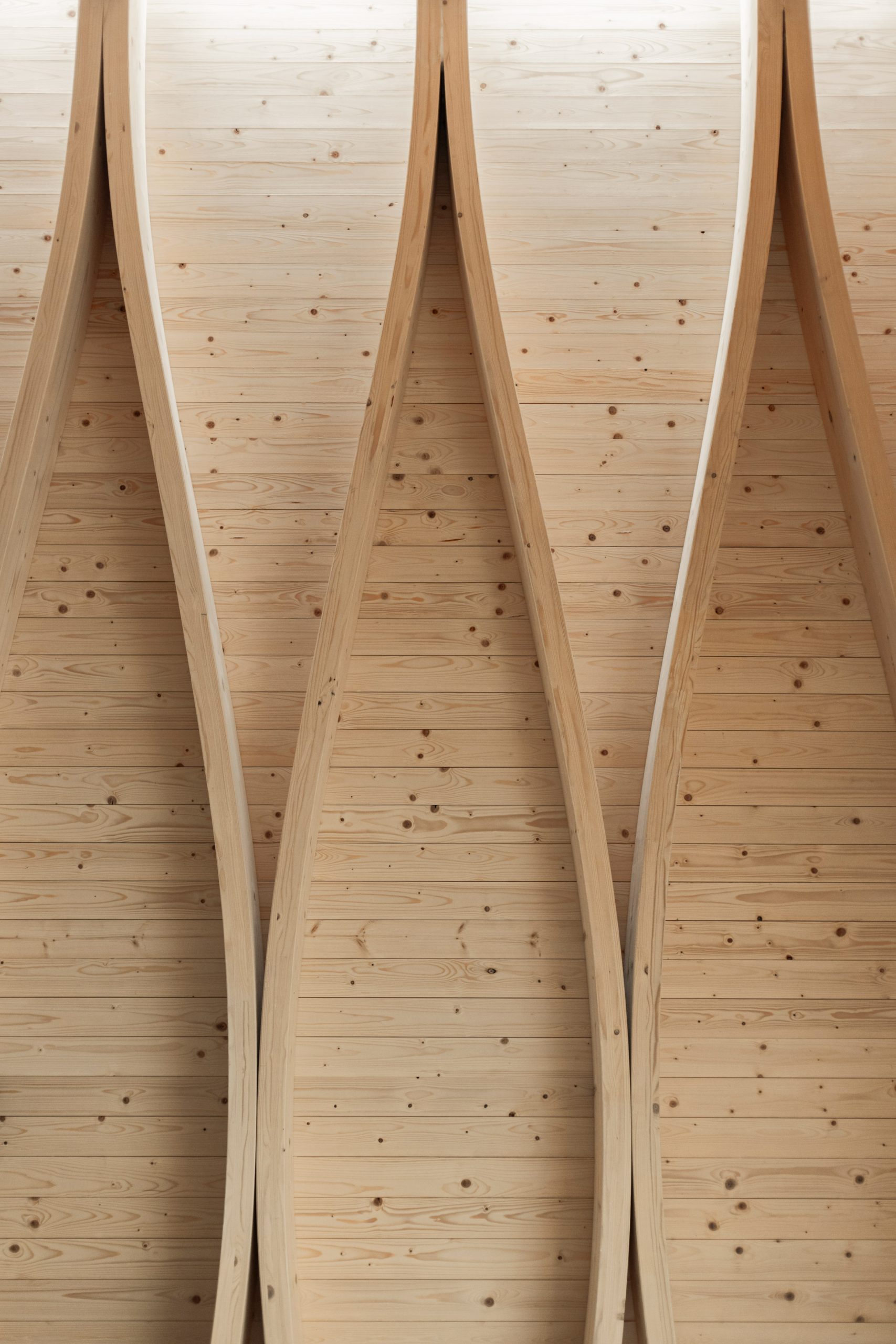 church，wedding，wood，woodland，