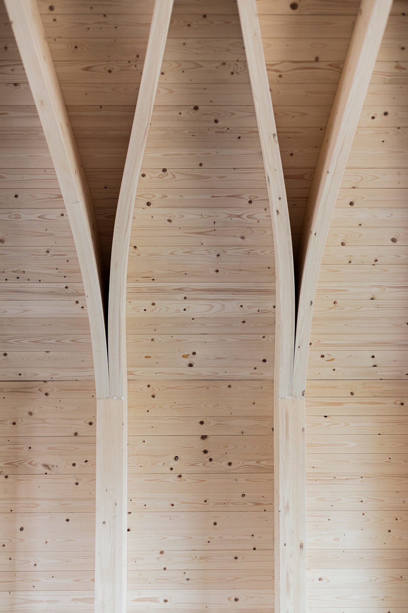 church，wedding，wood，woodland，