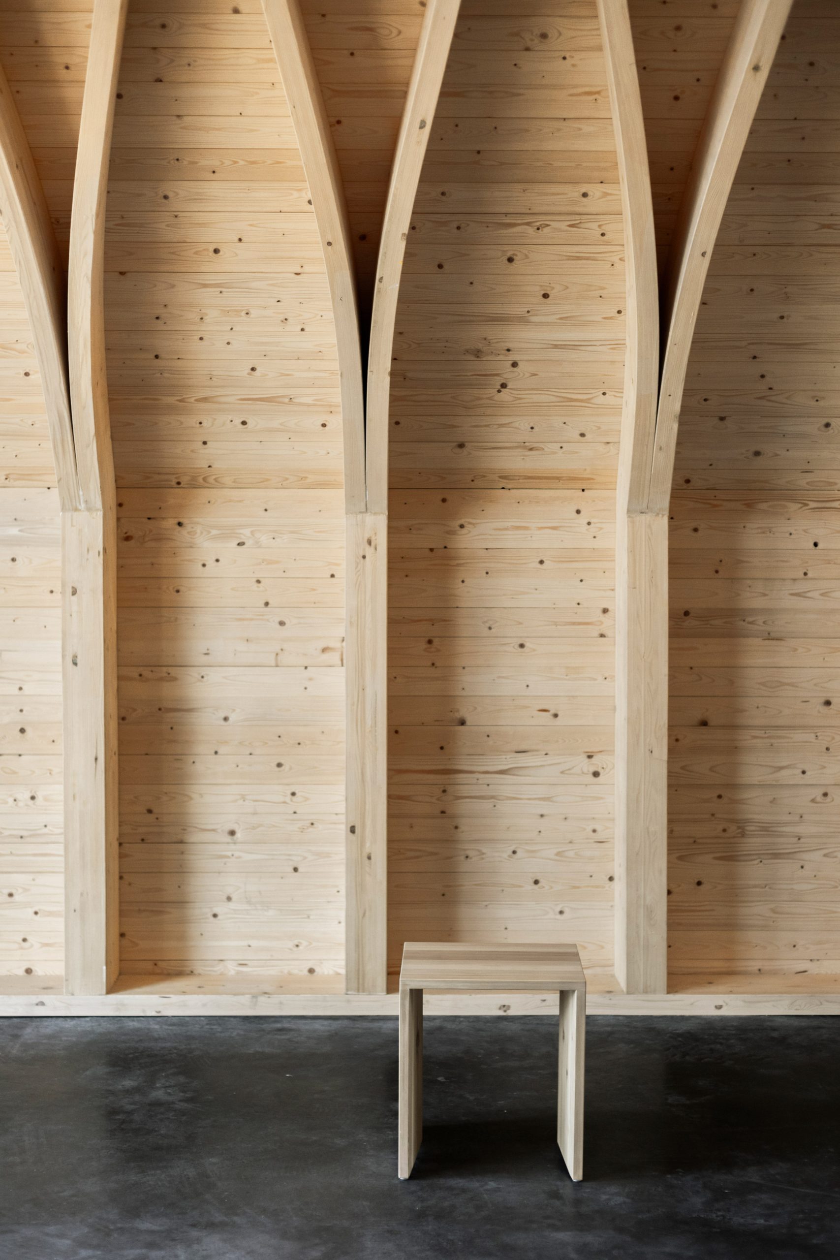 church，wedding，wood，woodland，