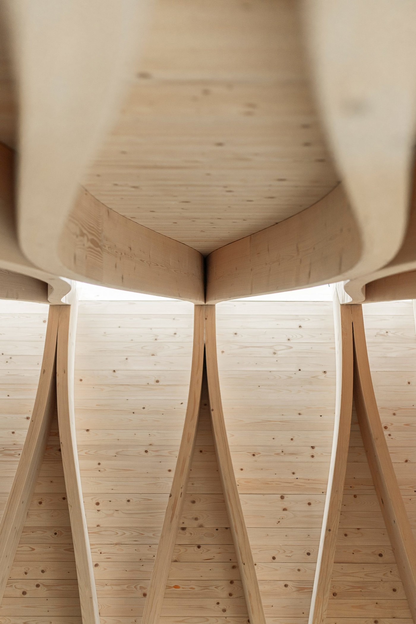 church，wedding，wood，woodland，