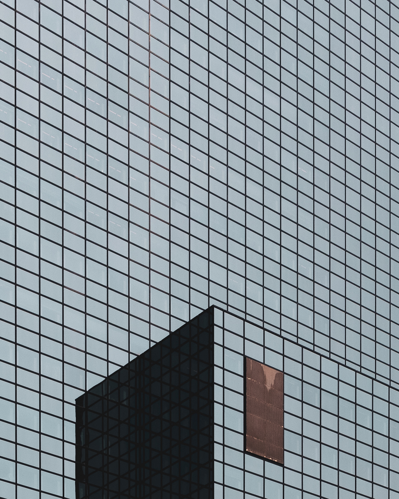 geometry，texture，grid，