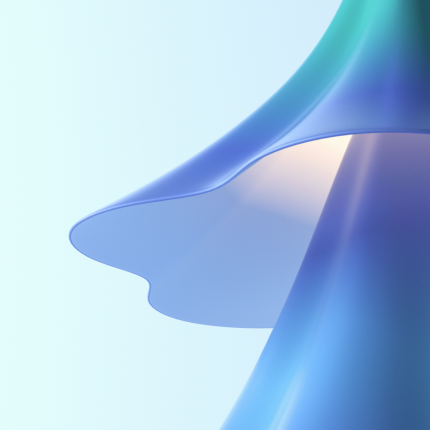 decorate，tree，winter，