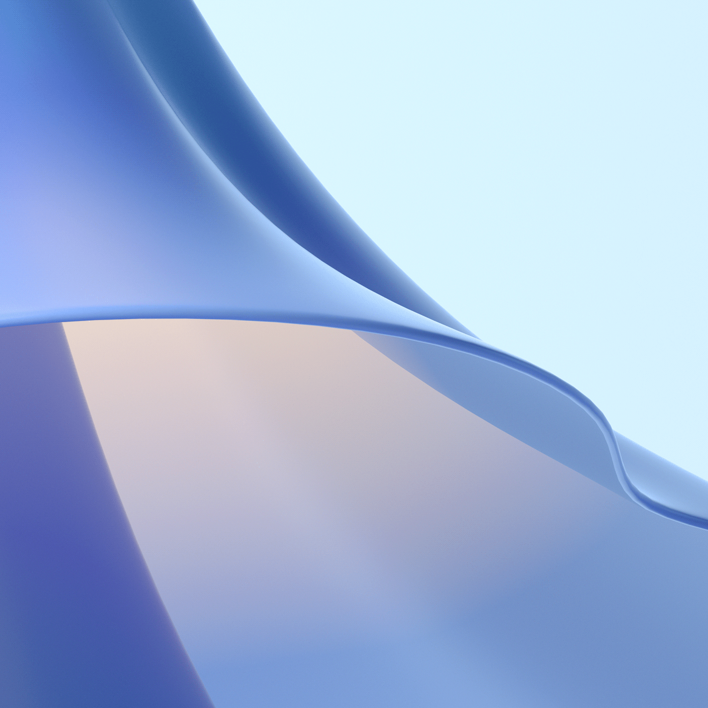 decorate，tree，winter，