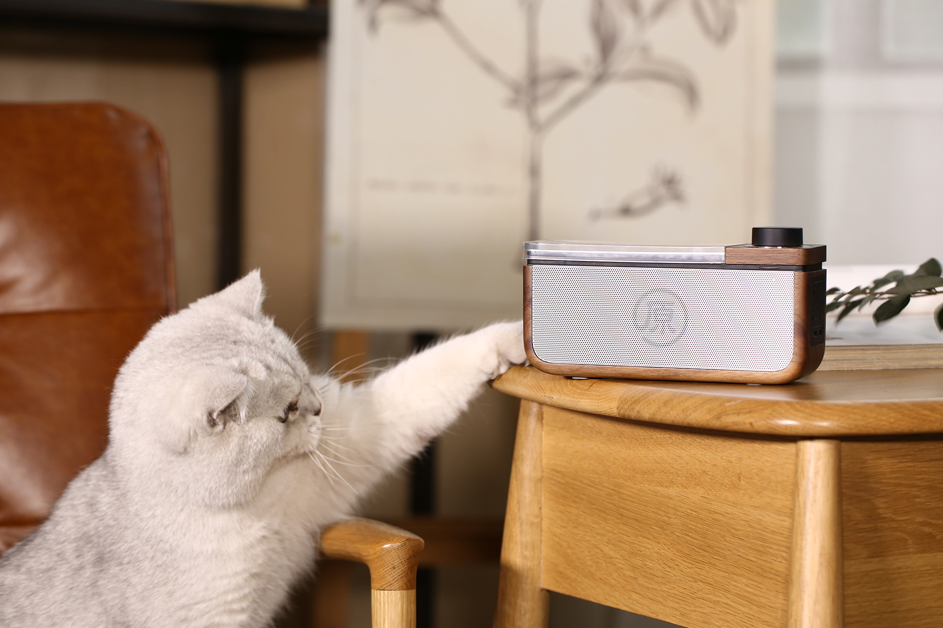Bluetooth Speaker ，radio，Retro，solid wood，