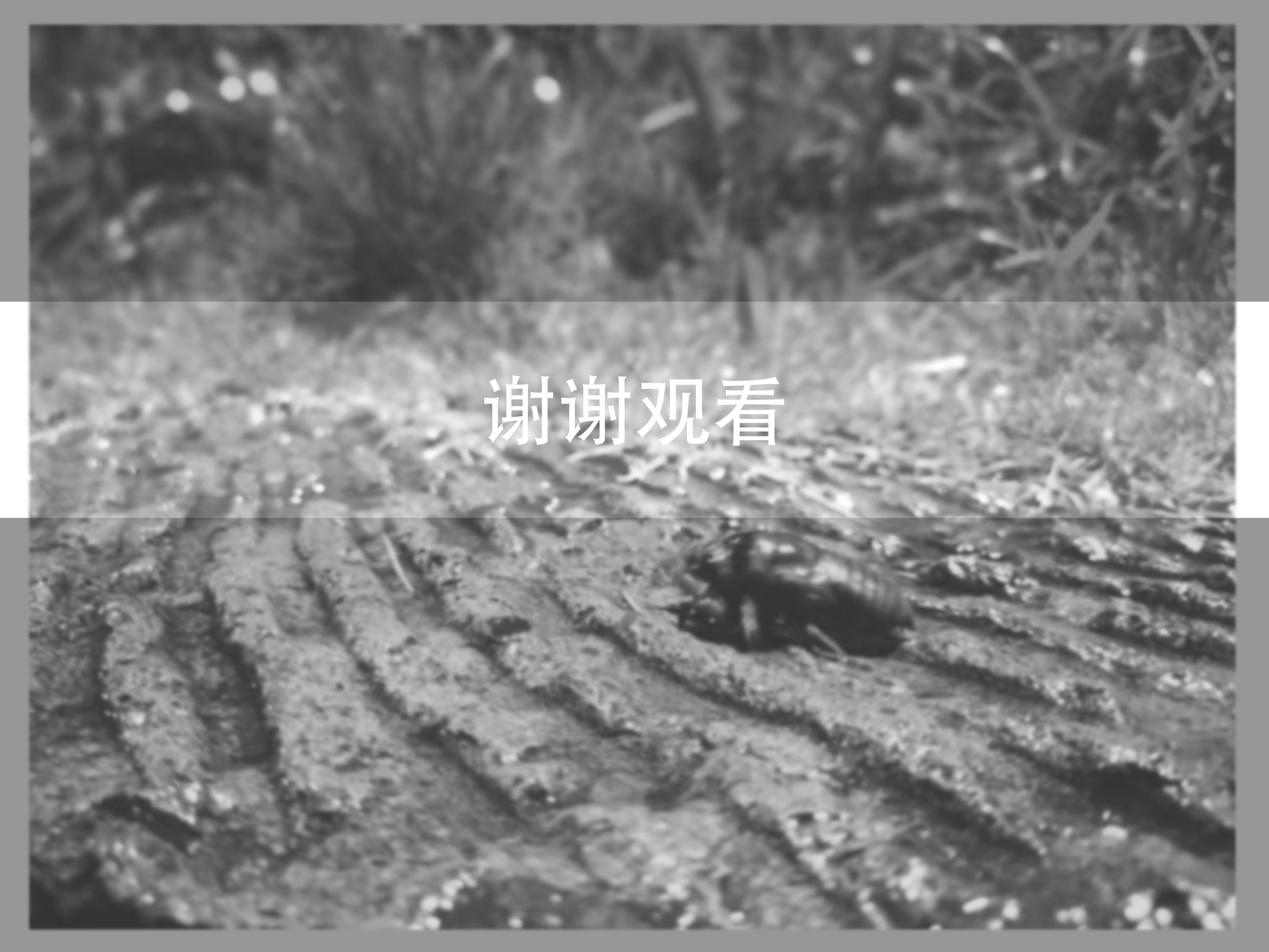 Household, tools, fitness equipment，