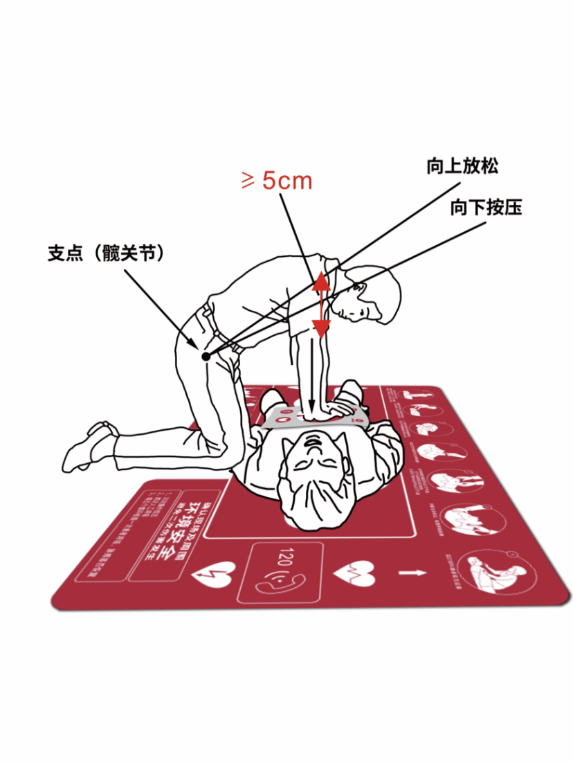 first aid，Cardiopulmonary resuscitation，
