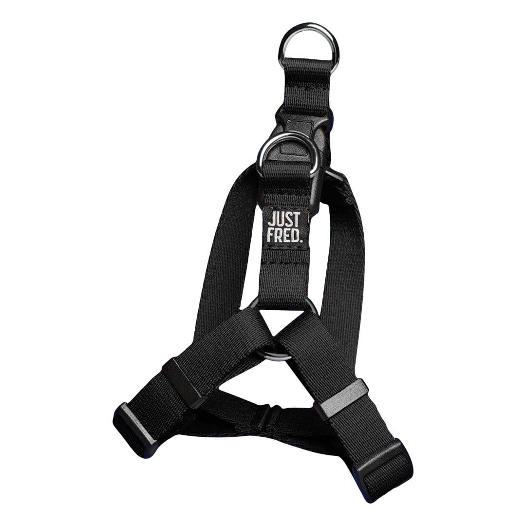 Pet accessories，tool kit，Safety belt，