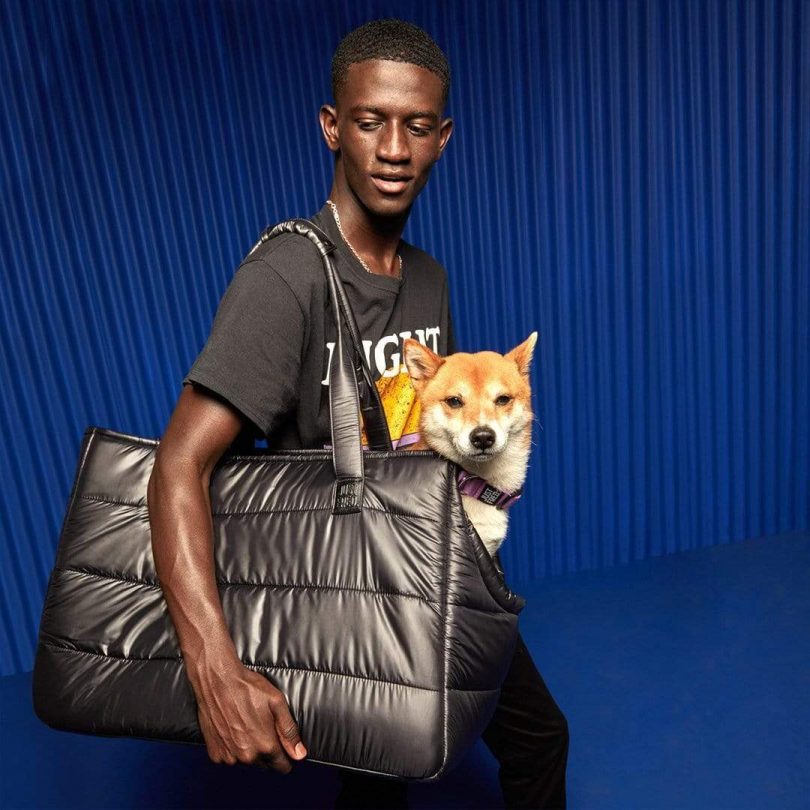 Pet accessories，tool kit，Safety belt，