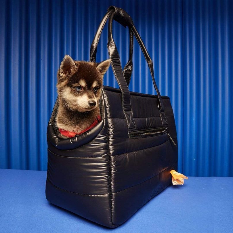 Pet accessories，tool kit，Safety belt，