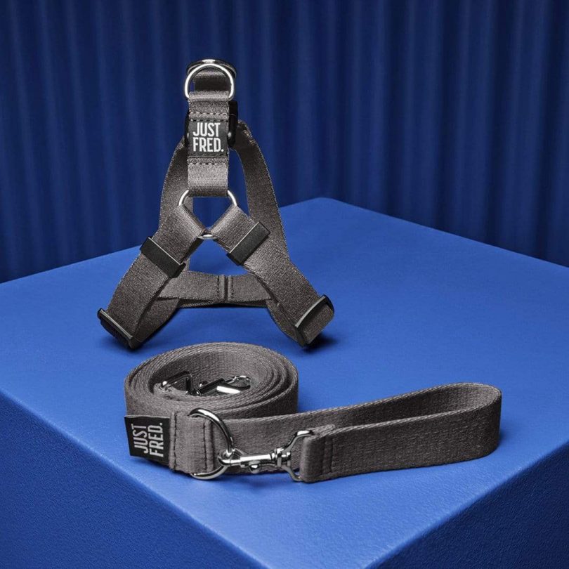 Pet accessories，tool kit，Safety belt，