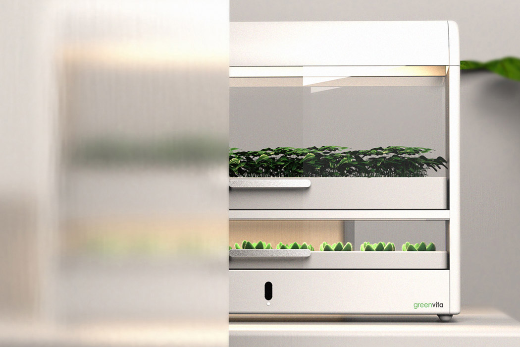 seeder，Botany，lamp，