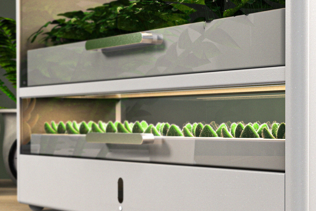 seeder，Botany，lamp，